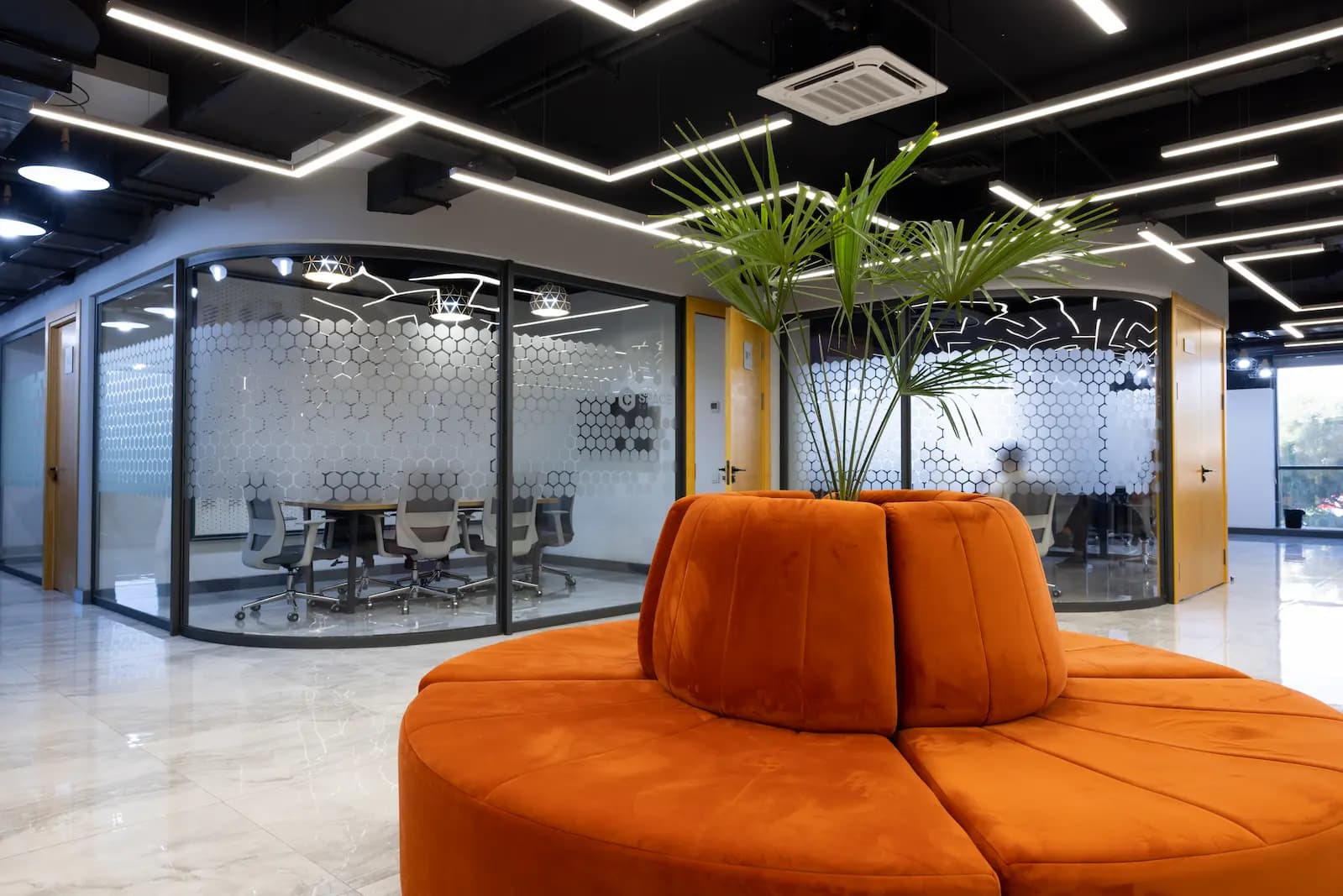 cspace branch